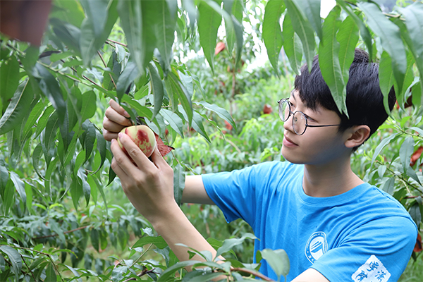 6de70e2f20f44addb8c01dc30fcccc32.png 圖片4.png