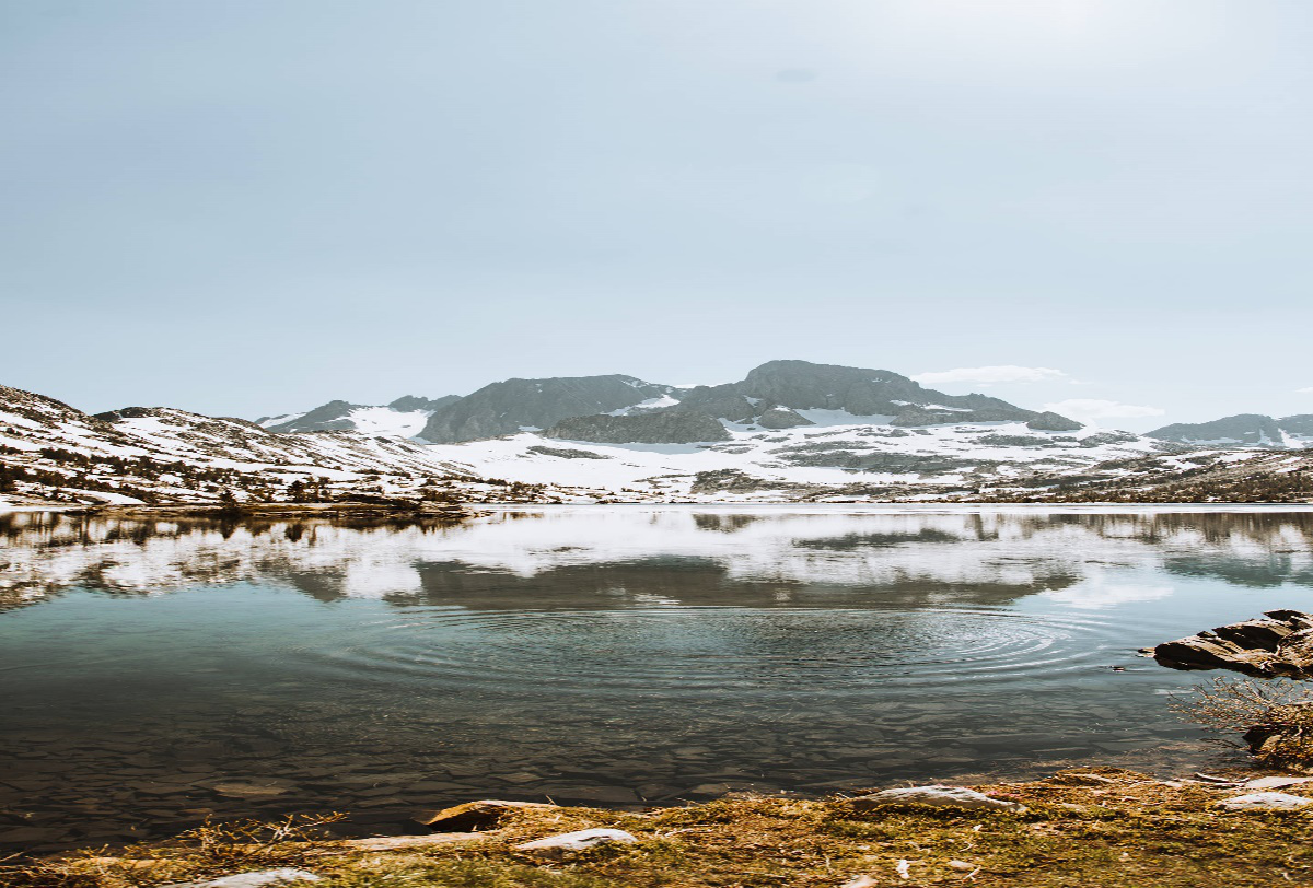 1528774446492776.png 圖片1.png