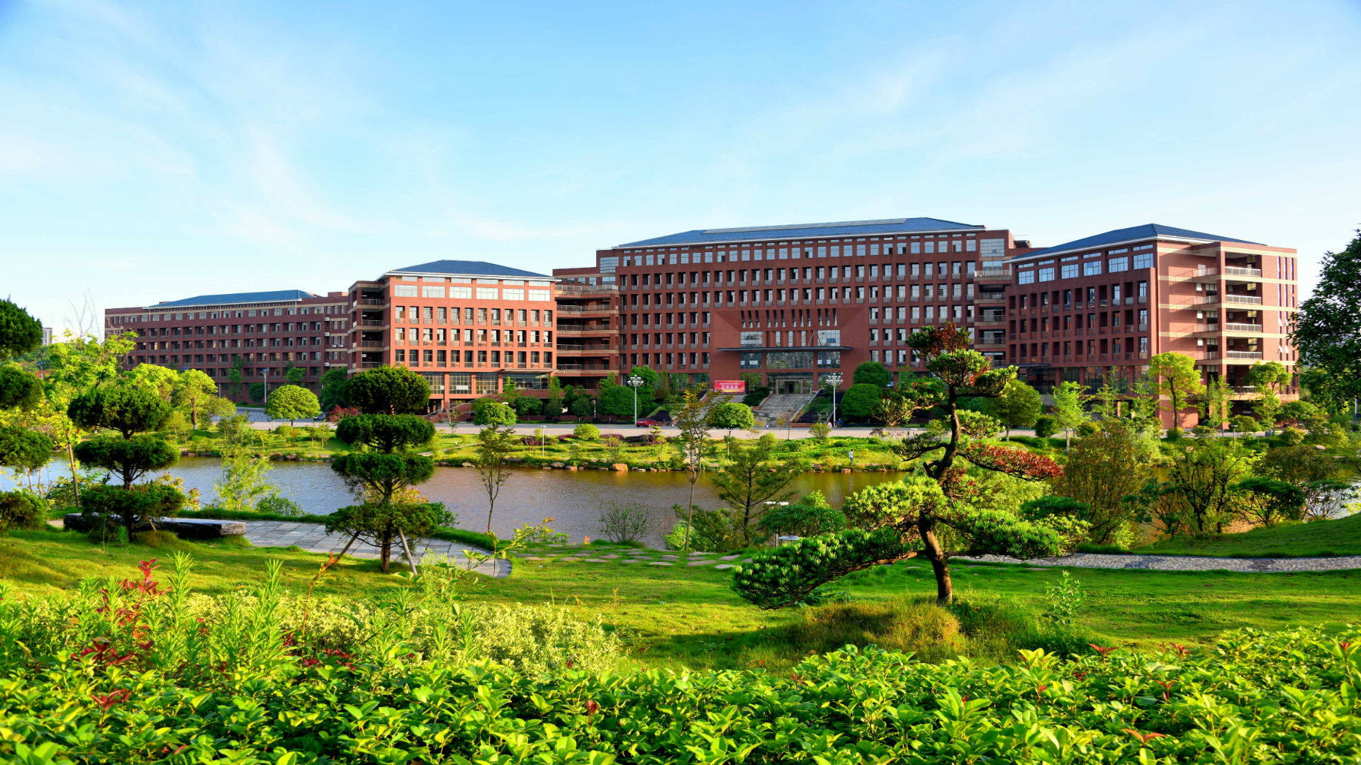 1530081290127874.jpg DSC_8038.jpg